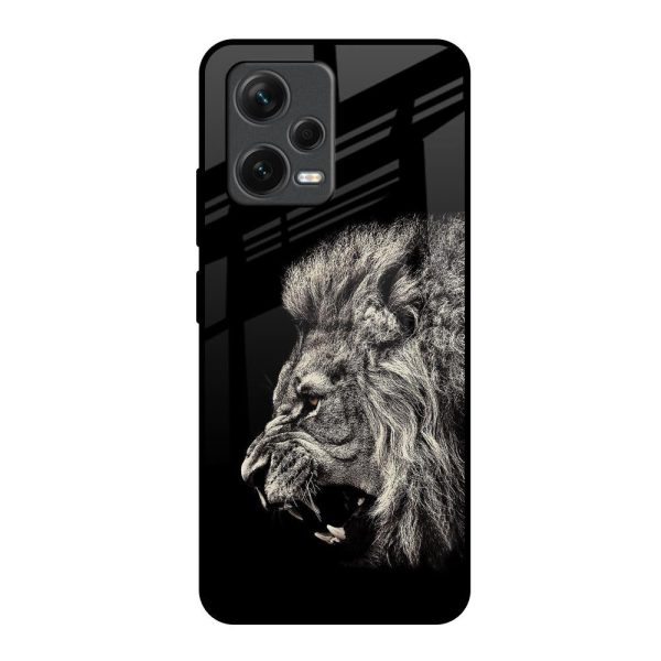 Brave Lion Glass Case for Redmi Note 12 5G Hot on Sale